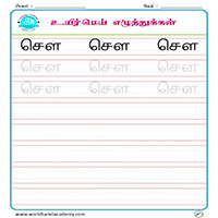 Worksheets