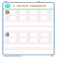 Worksheets