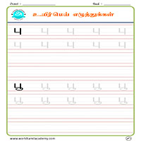 Worksheets