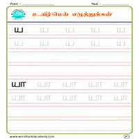 Worksheets