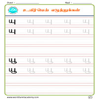 Worksheets