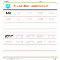 Worksheets