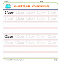 Worksheets